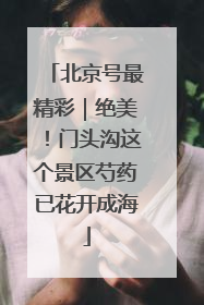 北京号最精彩｜绝美！门头沟这个景区芍药已花开成海