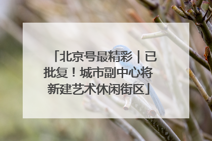 北京号最精彩｜已批复！城市副中心将新建艺术休闲街区