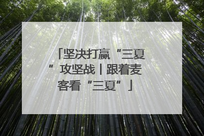 坚决打赢“三夏”攻坚战丨跟着麦客看“三夏”