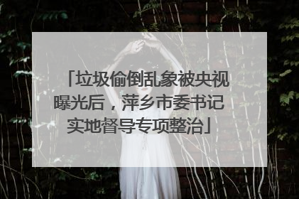 垃圾偷倒乱象被央视曝光后，萍乡市委书记实地督导专项整治