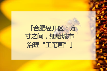 合肥经开区：方寸之间，细绘城市治理“工笔画”
