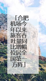 合肥机场今年以来旅客吞吐量同比增幅位居全国第一方阵