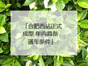 合肥西站正式成型 年内具备通车条件