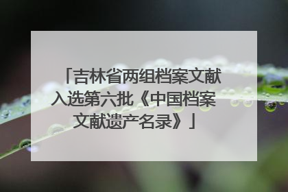 吉林省两组档案文献入选第六批《中国档案文献遗产名录》
