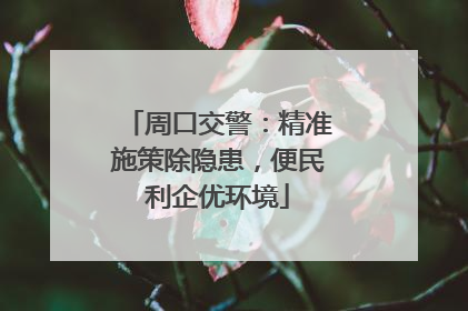 周口交警：精准施策除隐患，便民利企优环境