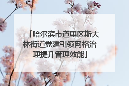 哈尔滨市道里区斯大林街道党建引领网格治理提升管理效能