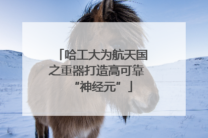 哈工大为航天国之重器打造高可靠“神经元”