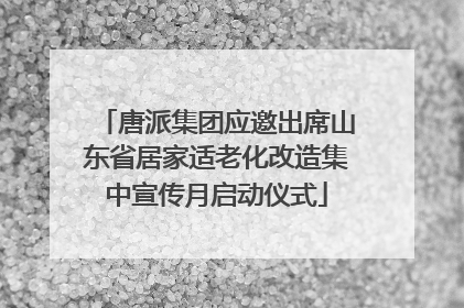 唐派集团应邀出席山东省居家适老化改造集中宣传月启动仪式