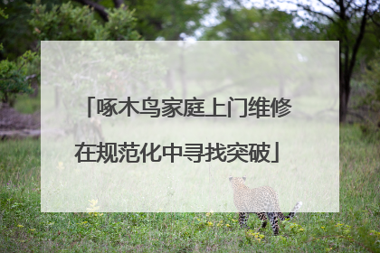 啄木鸟家庭上门维修在规范化中寻找突破