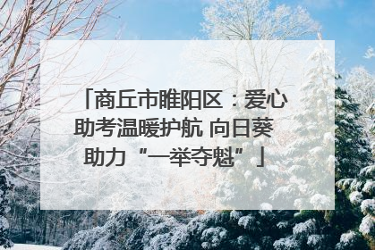 商丘市睢阳区：爱心助考温暖护航 向日葵助力“一举夺魁”