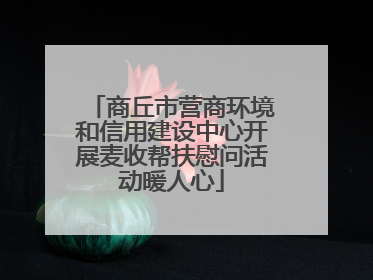 商丘市营商环境和信用建设中心开展麦收帮扶慰问活动暖人心