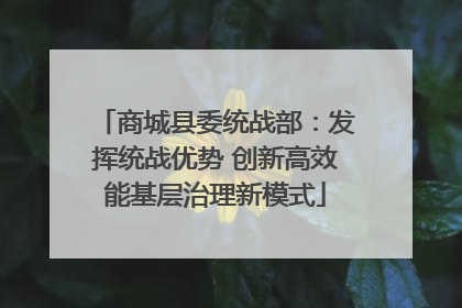 商城县委统战部：发挥统战优势 创新高效能基层治理新模式