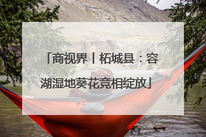 商视界丨柘城县：容湖湿地葵花竞相绽放
