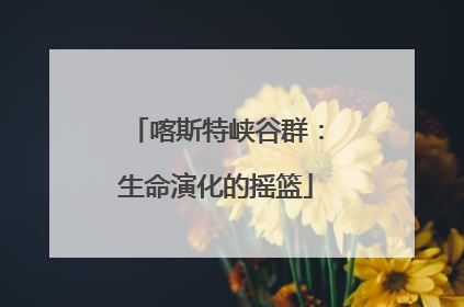 喀斯特峡谷群：生命演化的摇篮