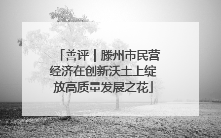 善评｜滕州市民营经济在创新沃土上绽放高质量发展之花
