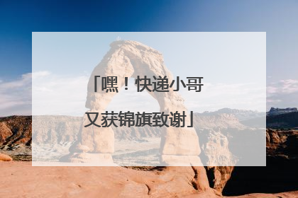 嘿！快递小哥又获锦旗致谢
