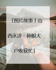 图片故事丨山西永济：种粮大户收获忙