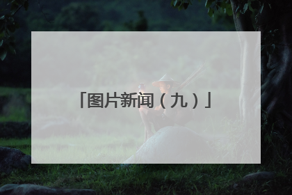 图片新闻（九）