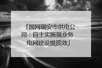 国网瑞安市供电公司：自主实施强业务 电网建设提质效
