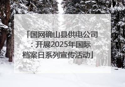 国网确山县供电公司：开展2025年国际档案日系列宣传活动