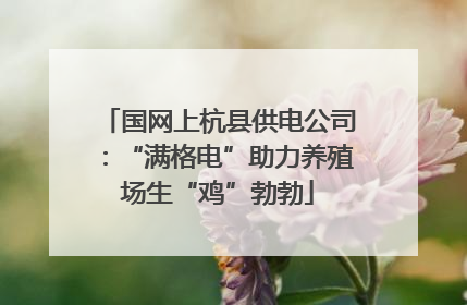 国网上杭县供电公司：“满格电”助力养殖场生“鸡”勃勃
