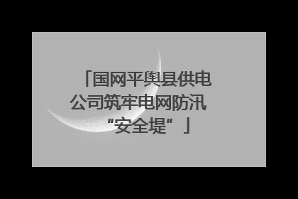 国网平舆县供电公司筑牢电网防汛“安全堤”