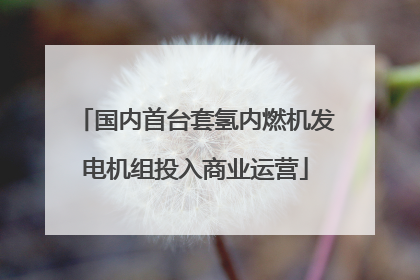 国内首台套氢内燃机发电机组投入商业运营