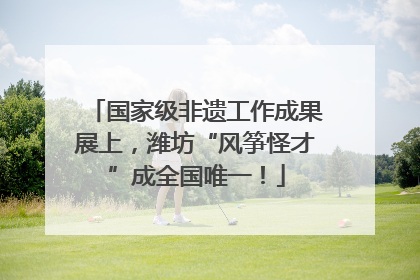 国家级非遗工作成果展上，潍坊“风筝怪才”成全国唯一！