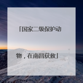 国家二级保护动物，在南昌获救