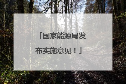 国家能源局发布实施意见！