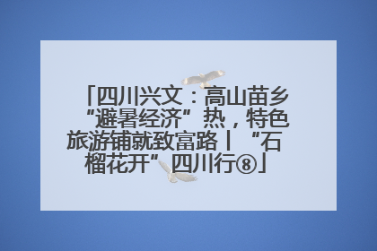 四川兴文：高山苗乡“避暑经济”热，特色旅游铺就致富路丨“石榴花开”四川行⑧