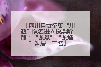四川自贡征集“川超”队名进入投票阶段：“龙焱”“龙焰”暂居一二名