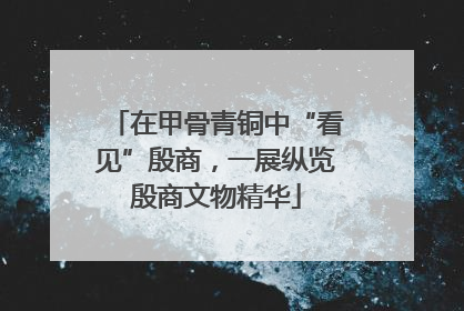 在甲骨青铜中“看见”殷商，一展纵览殷商文物精华