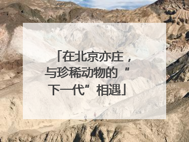 在北京亦庄，与珍稀动物的“下一代”相遇