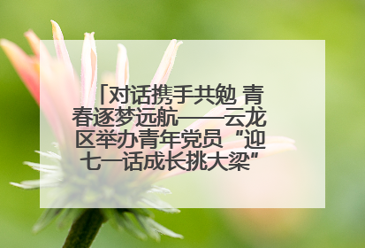 对话携手共勉 青春逐梦远航——云龙区举办青年党员“迎七一话成长挑大梁”交流活动