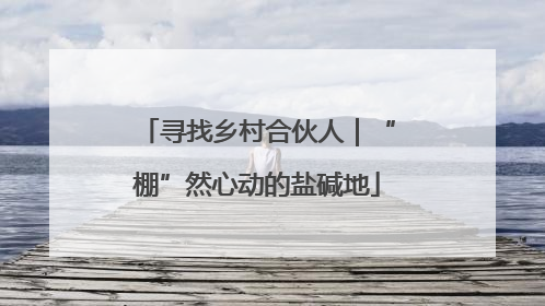 寻找乡村合伙人｜“棚”然心动的盐碱地