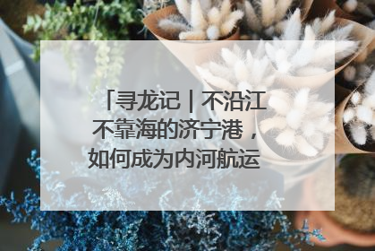 寻龙记｜不沿江不靠海的济宁港，如何成为内河航运的“绝对主力”