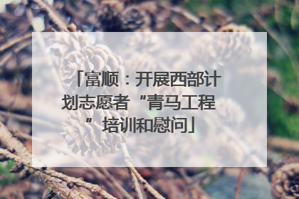 富顺：开展西部计划志愿者“青马工程”培训和慰问