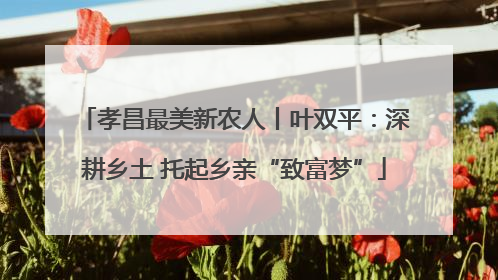 孝昌最美新农人丨叶双平：深耕乡土 托起乡亲“致富梦”