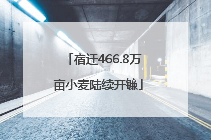 宿迁466.8万亩小麦陆续开镰