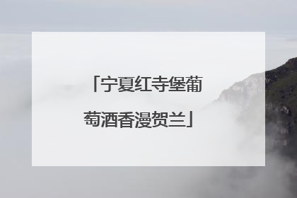 宁夏红寺堡葡萄酒香漫贺兰
