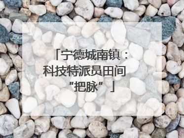 宁德城南镇：科技特派员田间“把脉”