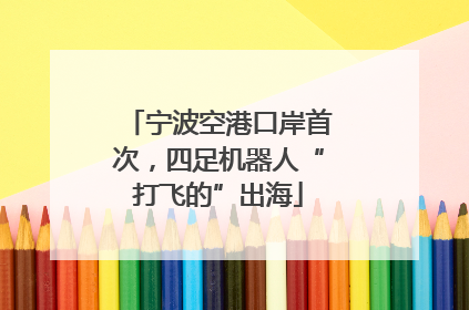 宁波空港口岸首次，四足机器人“打飞的”出海