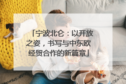 宁波北仑：以开放之姿，书写与中东欧经贸合作的新篇章