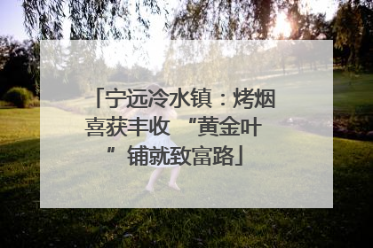 宁远冷水镇：烤烟喜获丰收 “黄金叶”铺就致富路