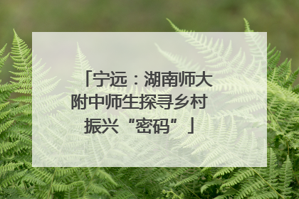 宁远：湖南师大附中师生探寻乡村振兴“密码”