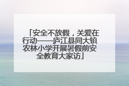 安全不放假，关爱在行动——庐江县同大镇农林小学开展暑假前安全教育大家访