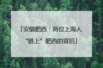 安徽肥西：两位上海人“链上”肥西的背后