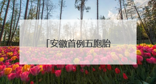 安徽首例五胞胎参加高考 分在安庆两个考点