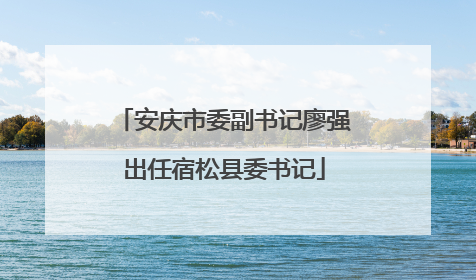 安庆市委副书记廖强出任宿松县委书记